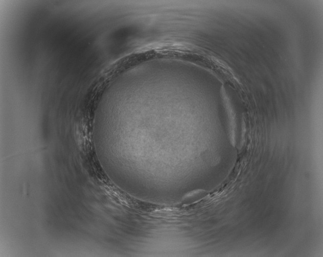 X0000084030966200702161430