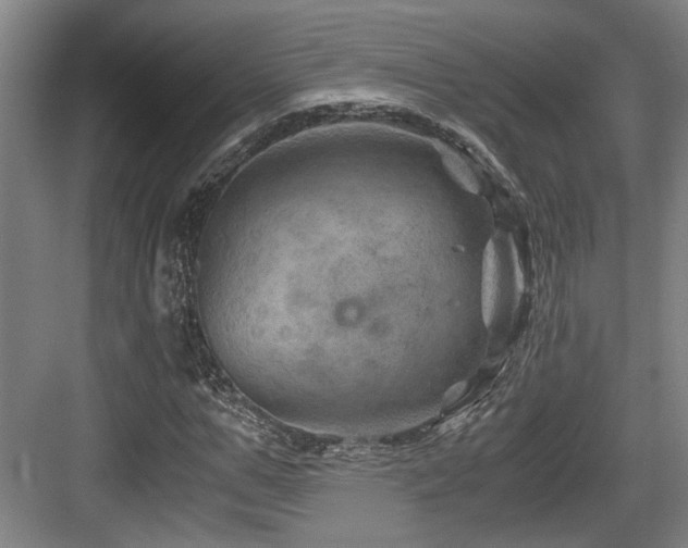 X0000084030967200702161430