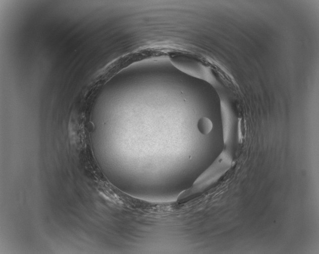 X0000084030968200702161430