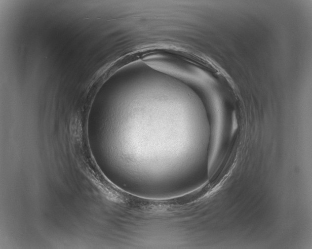 X0000084030969200702161430