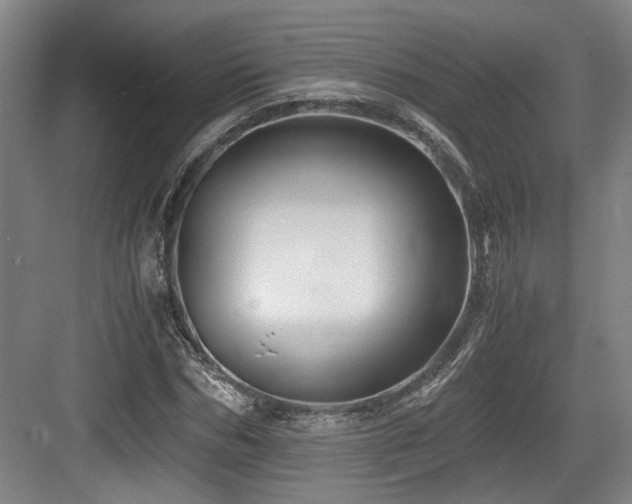 X0000084030970200702161430