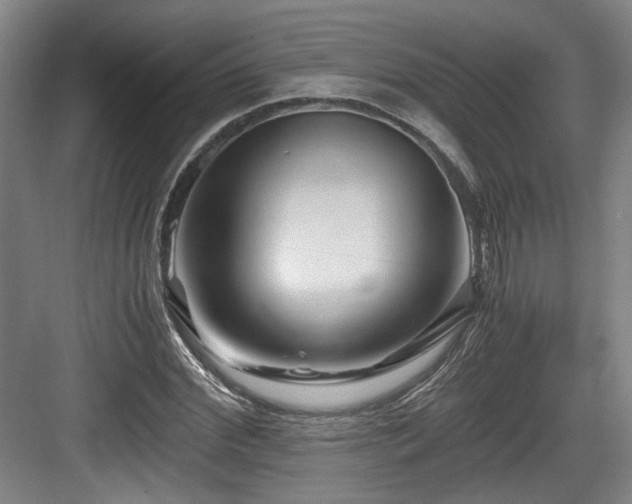 X0000084030972200702161430