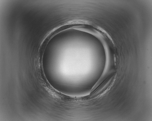 X0000084030973200702161430