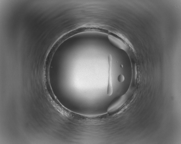 X0000084030976200702161430