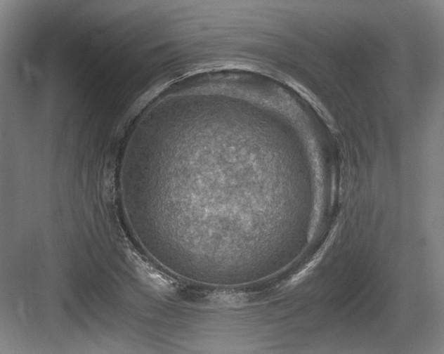 X0000084030977200702161430