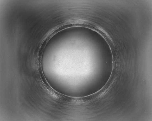 X0000084030978200702161430