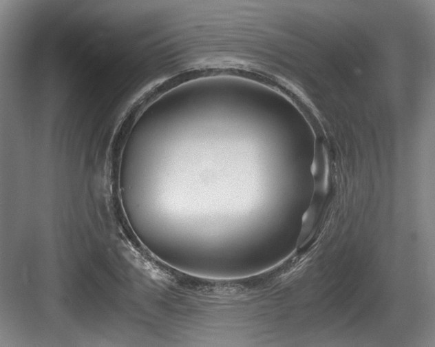 X0000084030979200702161430