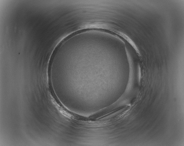 X0000084030980200702161430