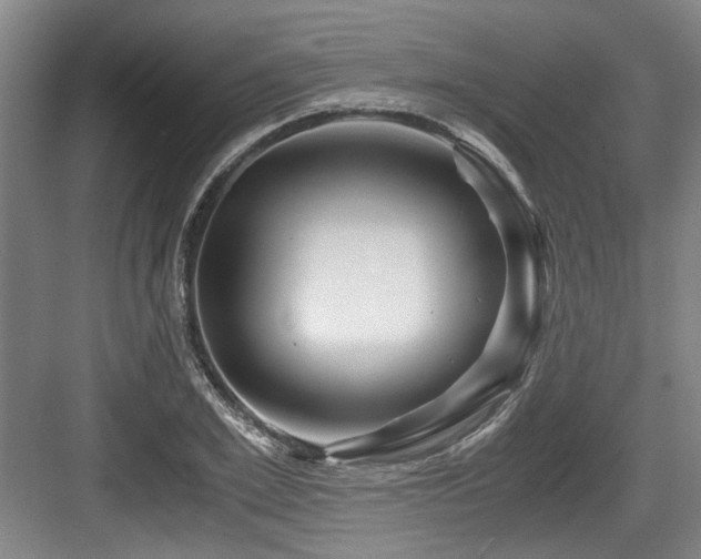 X0000084030981200702161430