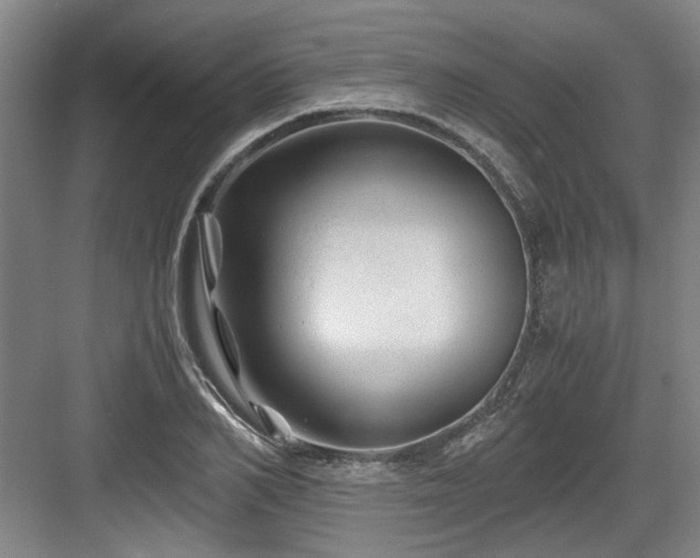 X0000084030982200702161430