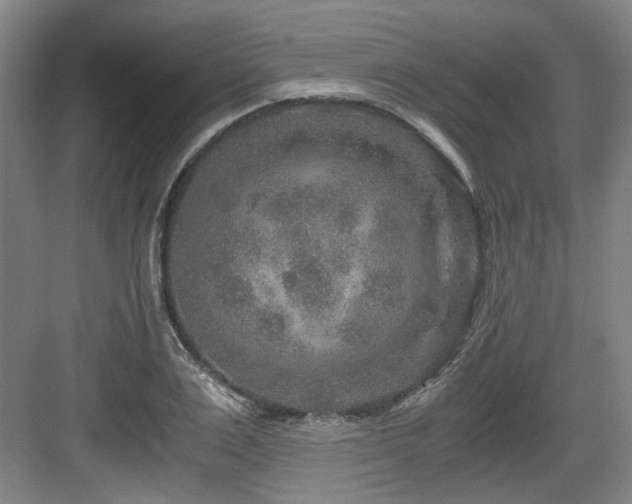 X0000084030983200702161430