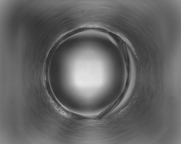 X0000084030984200702161430