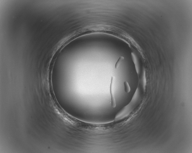 X0000084030986200702161430