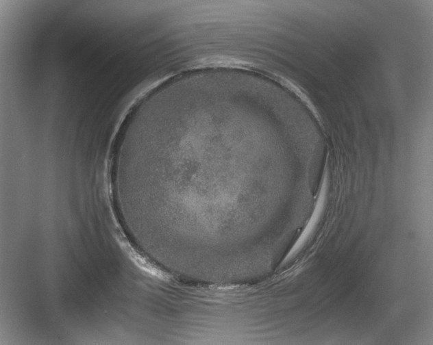 X0000084030987200702161430