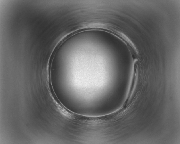 X0000084030988200702161430