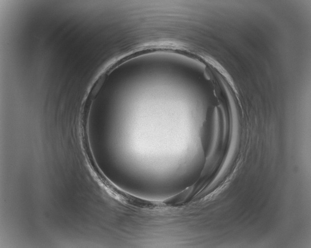 X0000084030989200702161430