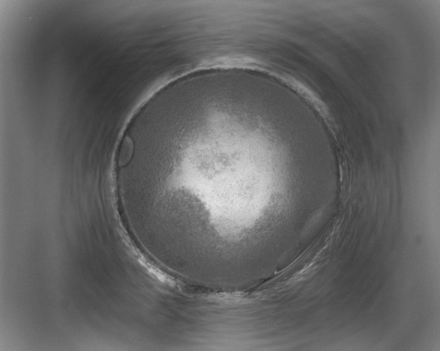 X0000084030990200702161430