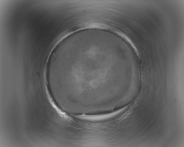 X0000084030991200702161430