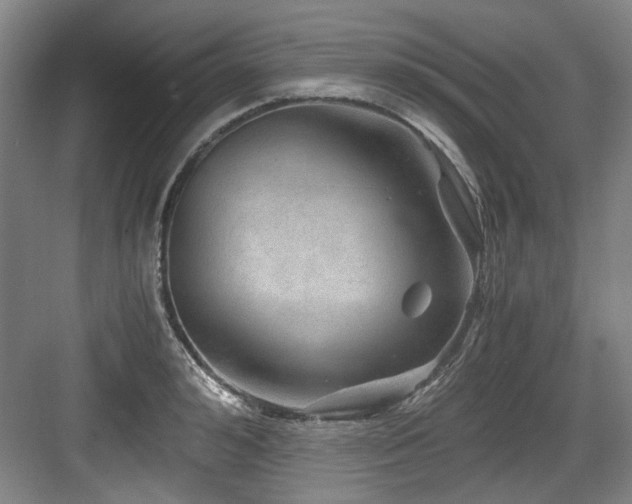 X0000084030992200702161430