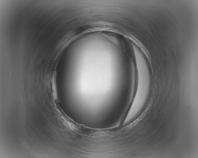 X0000084030993200702161430