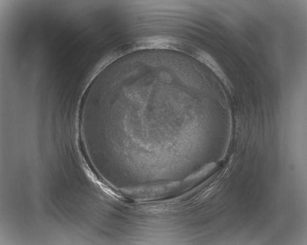 X0000084030994200702161430