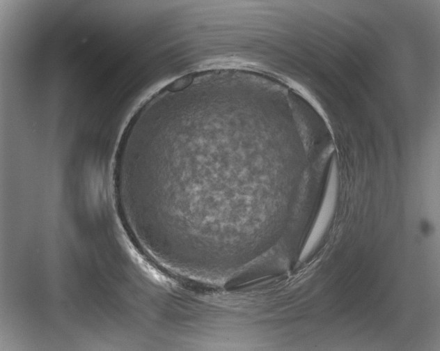 X0000084030995200702161430