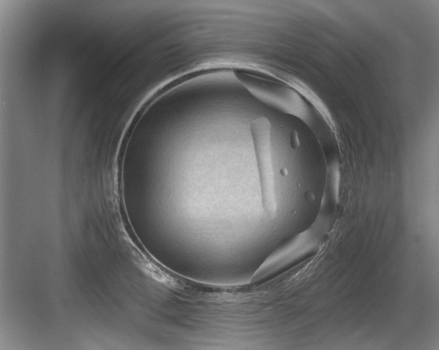 X0000084030996200702161430