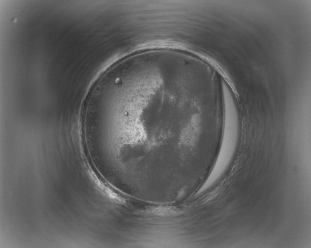 X0000084030998200702161430