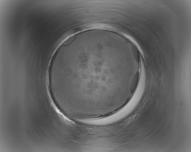 X0000084030999200702161430