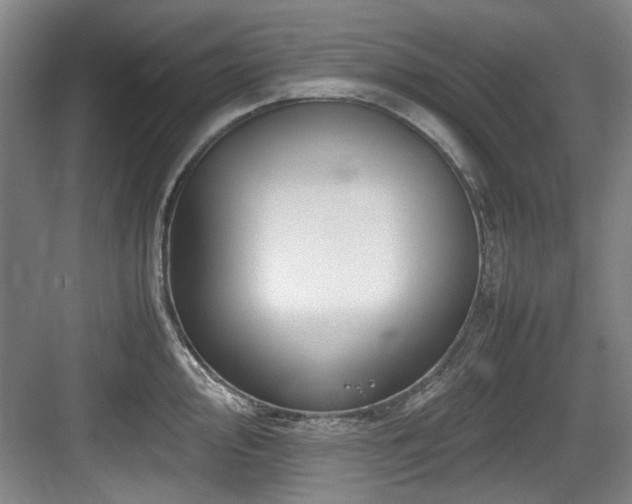 X0000084031000200702161430