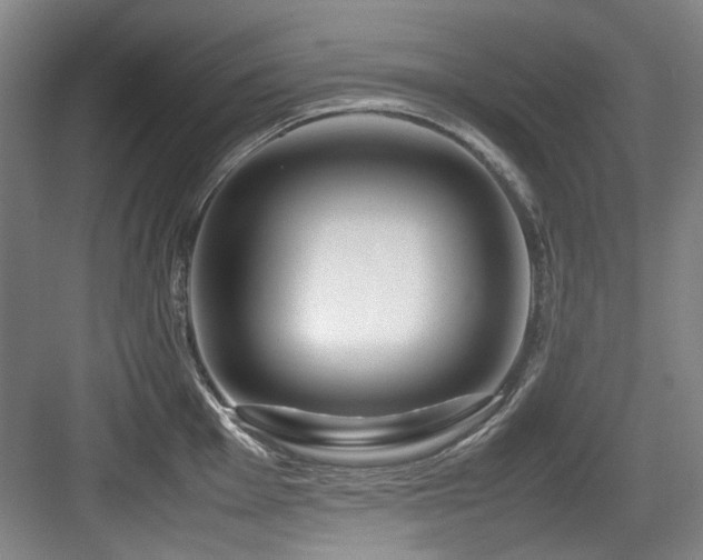 X0000084031001200702161430