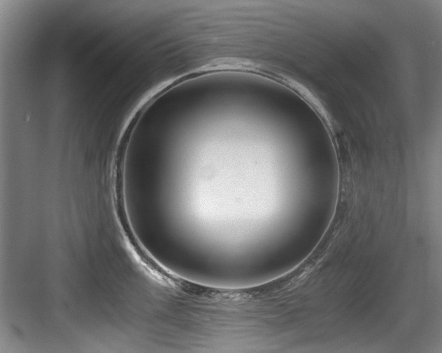 X0000084031003200702161430