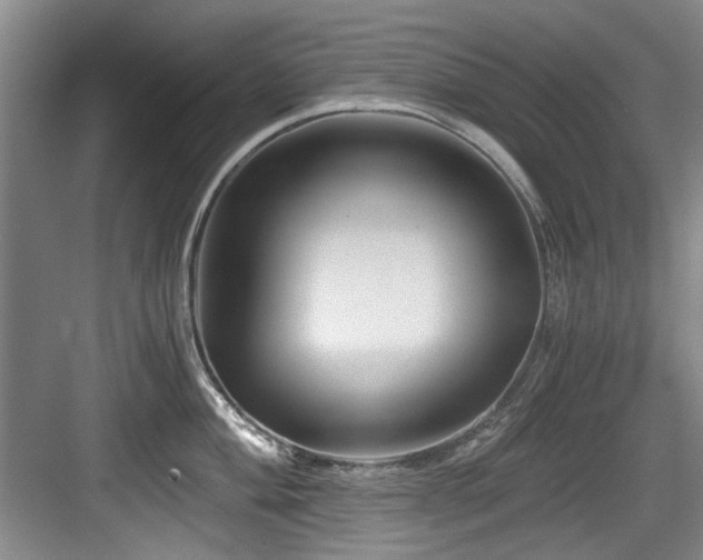 X0000084031004200702161430