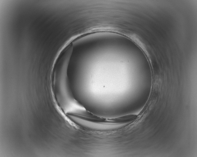 X0000084031005200702161430