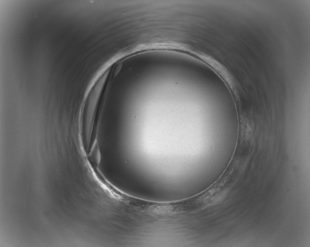 X0000084031006200702161430