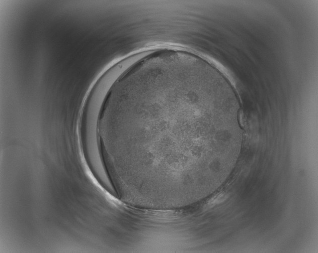 X0000084031007200702161430