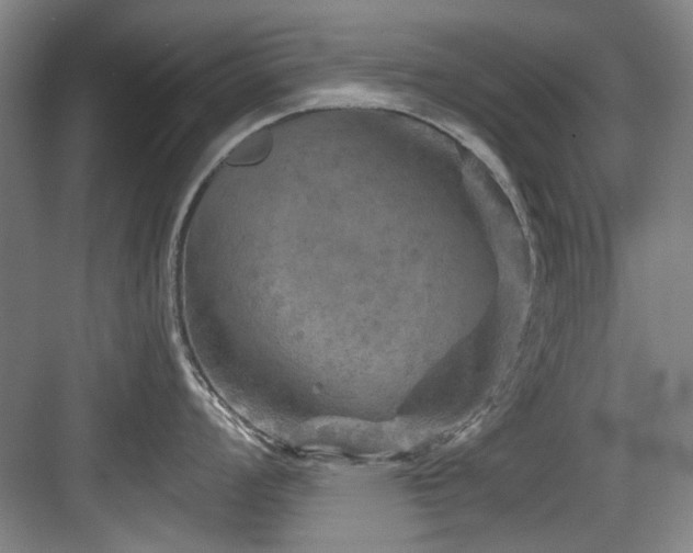 X0000084031008200702161430