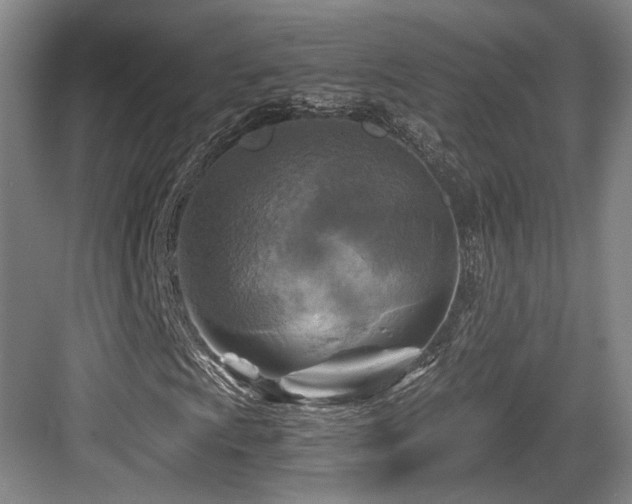 X0000084031009200702161429