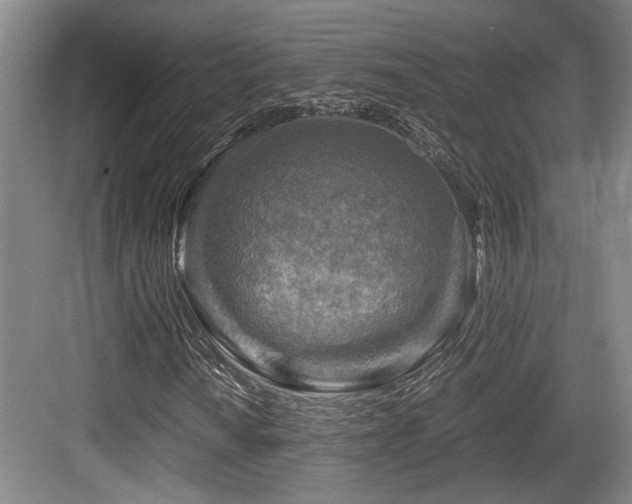 X0000084031010200702161429