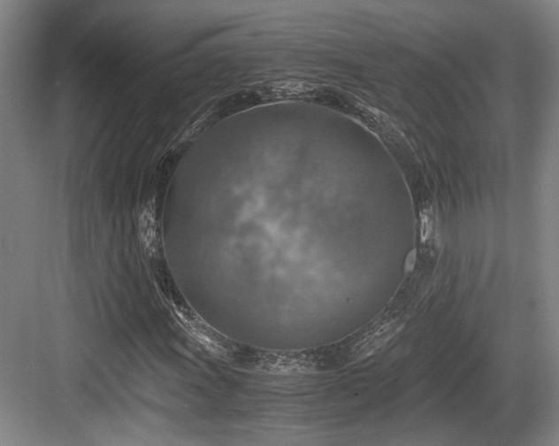 X0000084031011200702161429