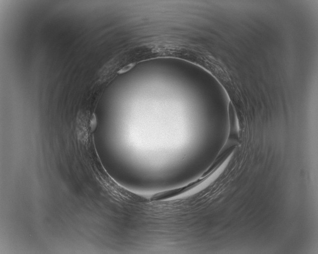 X0000084031012200702161429