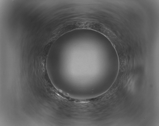 X0000084031013200702161429