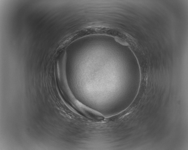 X0000084031014200702161429