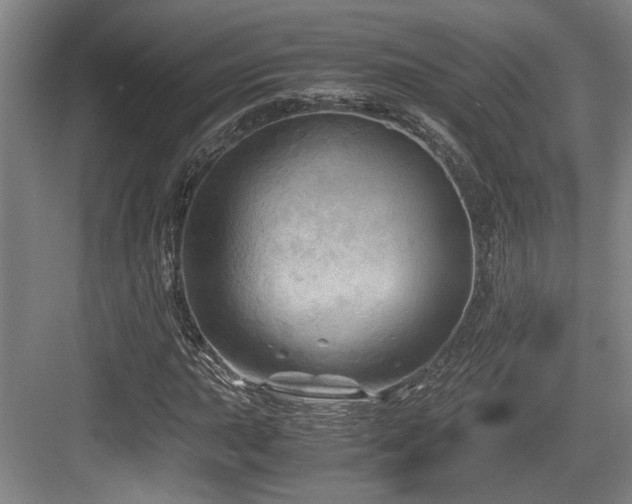 X0000084031015200702161429