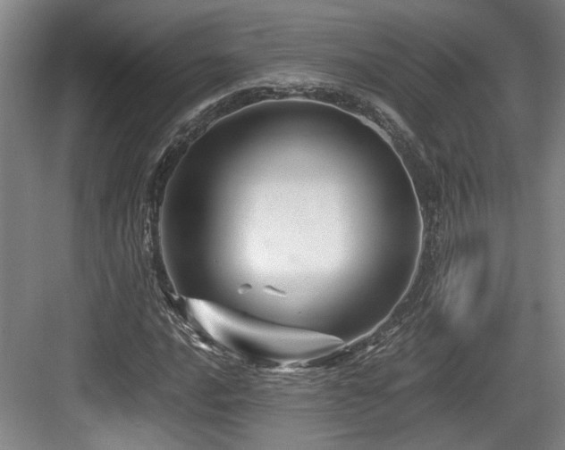 X0000084031016200702161429