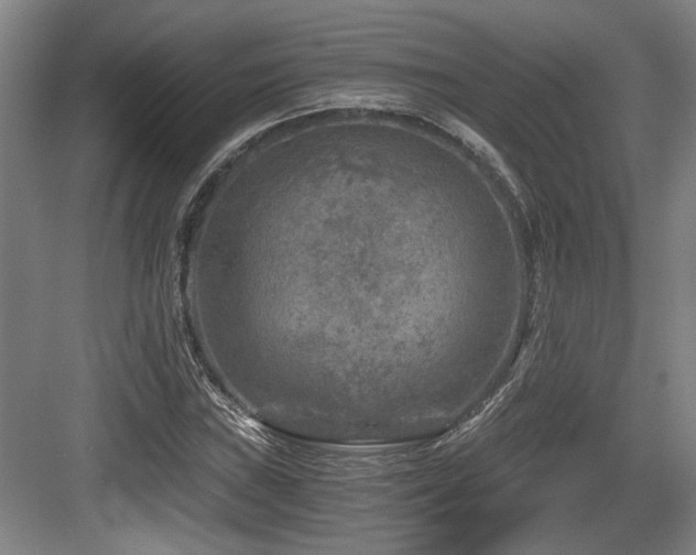 X0000084031019200702161429