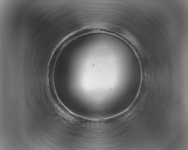 X0000084031020200702161429