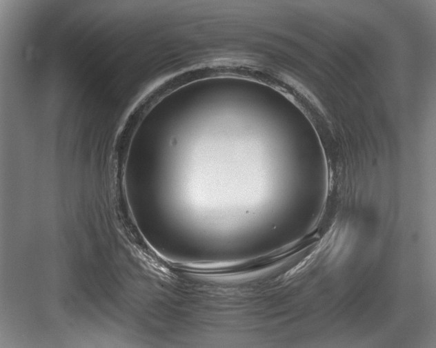 X0000084031021200702161429