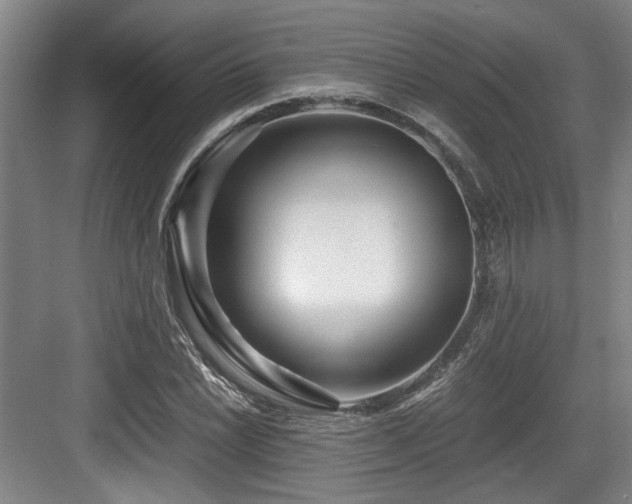 X0000084031022200702161429