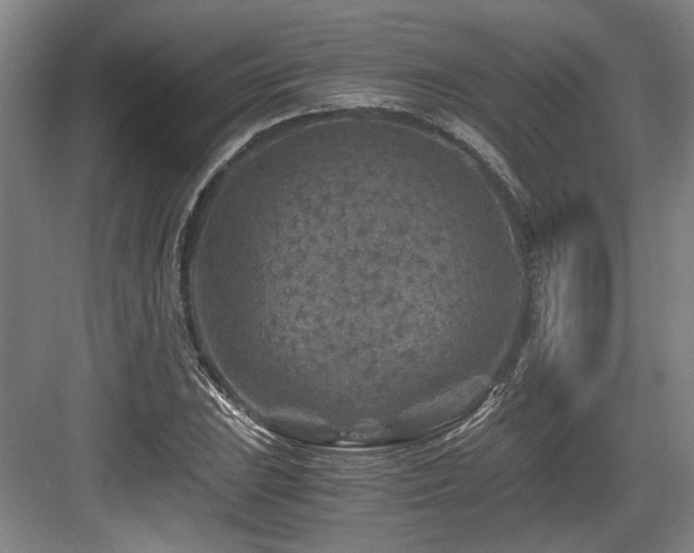 X0000084031023200702161429